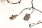 22-24 Ford Expedition MAX XLT HVAC Blend Door Actuator Set of 4 w/ Wire Harness - Alshned Auto Parts