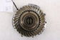 2017-2026 Audi S5 Premium 3.0L AWD Transmission Differential Gear 0D5-409-131-A2