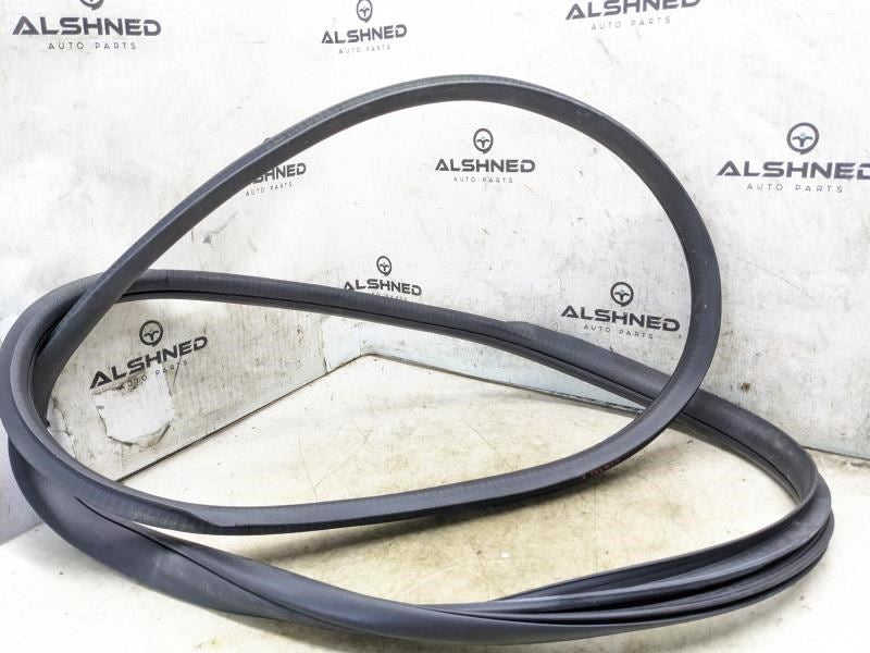 15-21 Mercedes-Benz C300 Front Left Door On Body Weatherstrip 205-697-00-51 OEM - Alshned Auto Parts