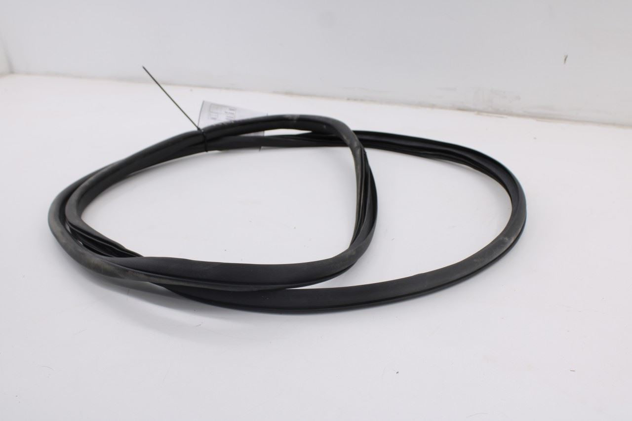 2019-2026 Ram 1500 Big Horn Crew Cab Rear Left Side Door Weatherstrip On Body4
