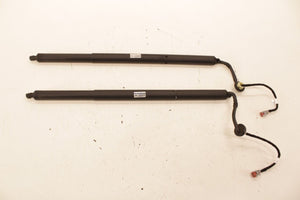 18-24 Ford Expedition MAX XLT Rear Right and Left Liftgate Lift Cylinder Strut