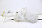 18-25 Jeep Compass Latitude Windshield Washer Reservoir Bottle 55112669AA *ReaD* - Alshned Auto Parts