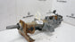 2013-2020 Ram 1500 Laramie 5.7L Steering Column Assembly 68144499AC OEM - Alshned Auto Parts