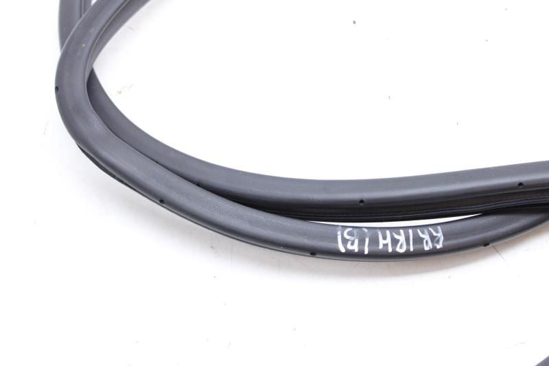 20-2023 Nissan Maxima RR Right Side Door On Body Weather Strip Seal 76923-9DJ1A - Alshned Auto Parts