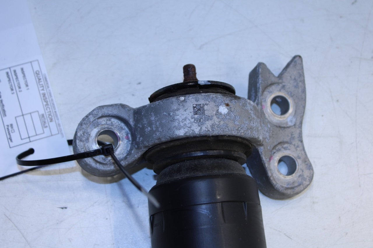 2019-24 Chevrolet Blazer 2LT FWD Rear Passenger Right Side Shock Strut Absorber - Alshned Auto Parts