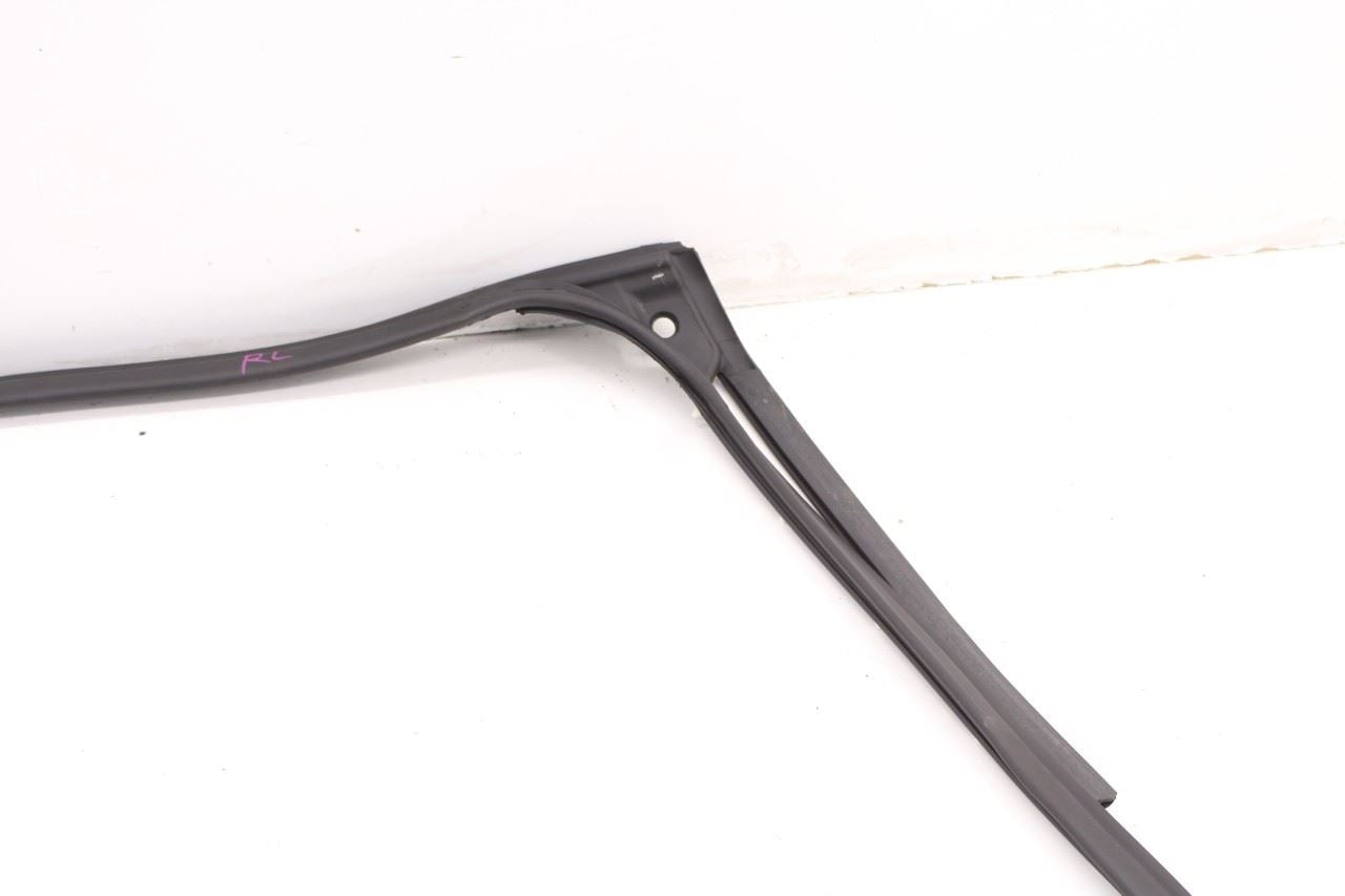 2019-2025 Infiniti QX50 LUXE Rear Left Door Weatherstrip with Belt Molding Set - Alshned Auto Parts