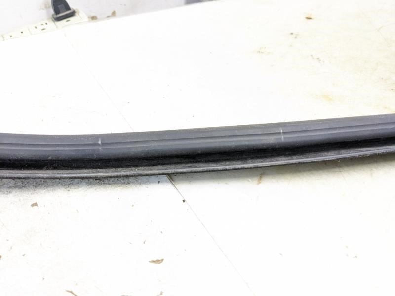 99-16 Ford F250SD Front Left Door Outer Window Belt Weatherstrip F81Z-2521453-AA - Alshned Auto Parts