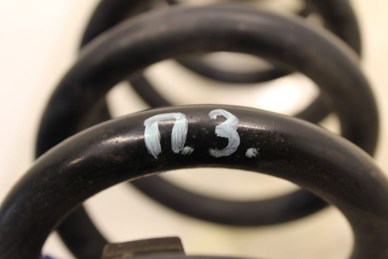 15-20 Kia Sorento LX 3.3L FWD Rear Right and LH Side Suspension Coil Spring Set - Alshned Auto Parts