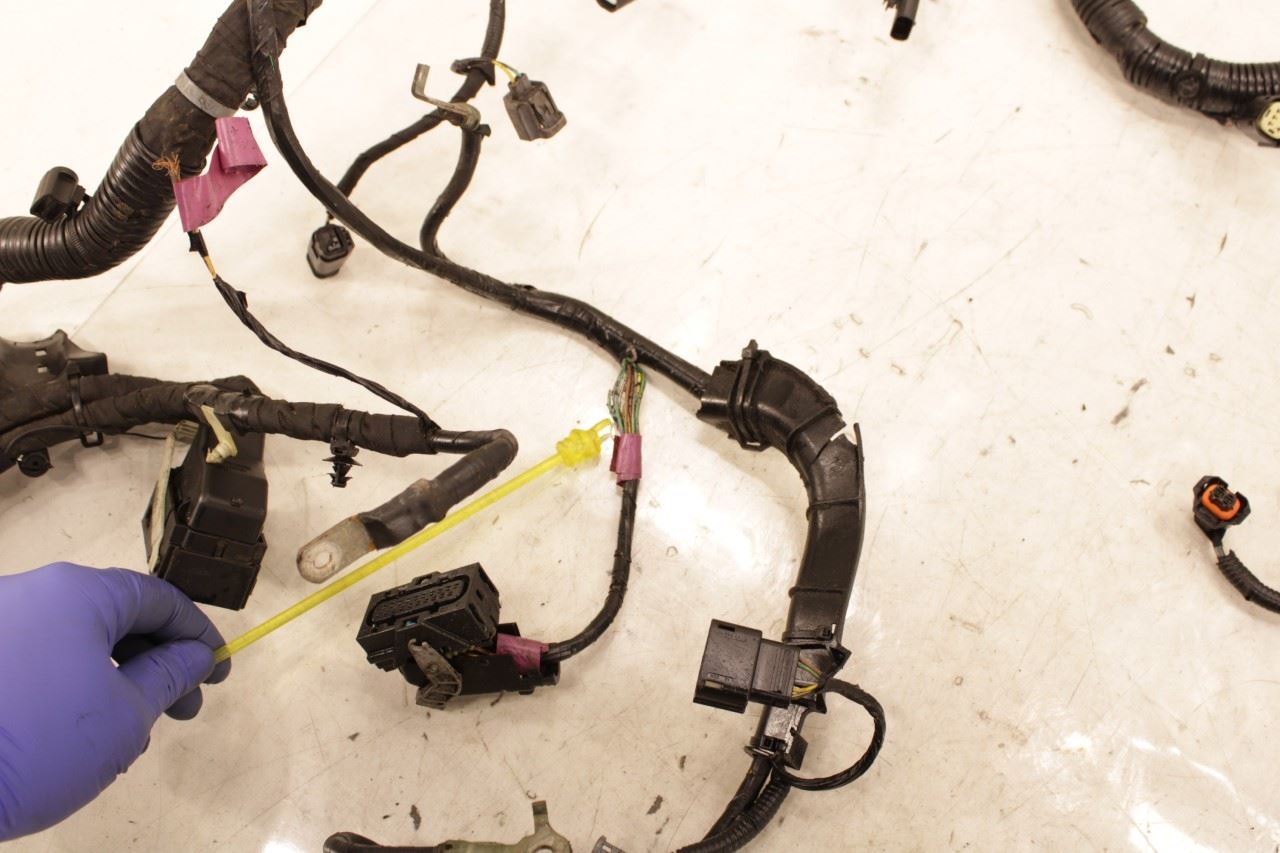 2018-21 Ford Ecosport SE 1.0L FWD Engine Wire Harness GN15-12C508-FD OEM *ReaD* - Alshned Auto Parts