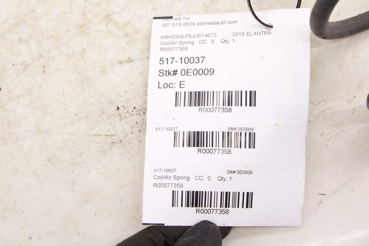 2016-20 Hyundai Elantra Value Edition Rear Right and Left Side Coil Spring Set - Alshned Auto Parts