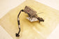 2011-2018 Porsche Cayenne Platinum 3.6L Automatic Transmission Oil Cooler - Alshned Auto Parts