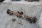 2006-10 Ford Mustang Conv V6 4.0L RWD Rear Axle Differential Carrier 3.31 ratio5