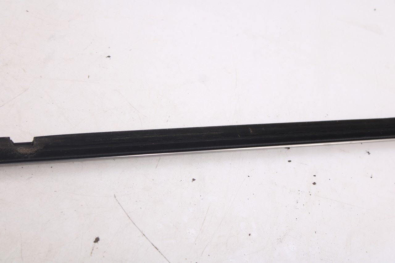 2018-2026 Ford Expedition Max XLT Rear Left Door Belt Molding and Weatherstrip9
