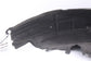 13-22 Acura ILX Technology A-Spec Rear Left Side Wheelhouse Liner Splash Shield2