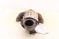 2019-2020 Hyundai Santa Fe SEL 2.4L AWD Exhaust System Manifold 28510-2GBB0 OEM - Alshned Auto Parts