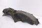 2015-2017 Acura TLX Tech Rear Left Driver Side Wheelhouse Liner Splash Shield7