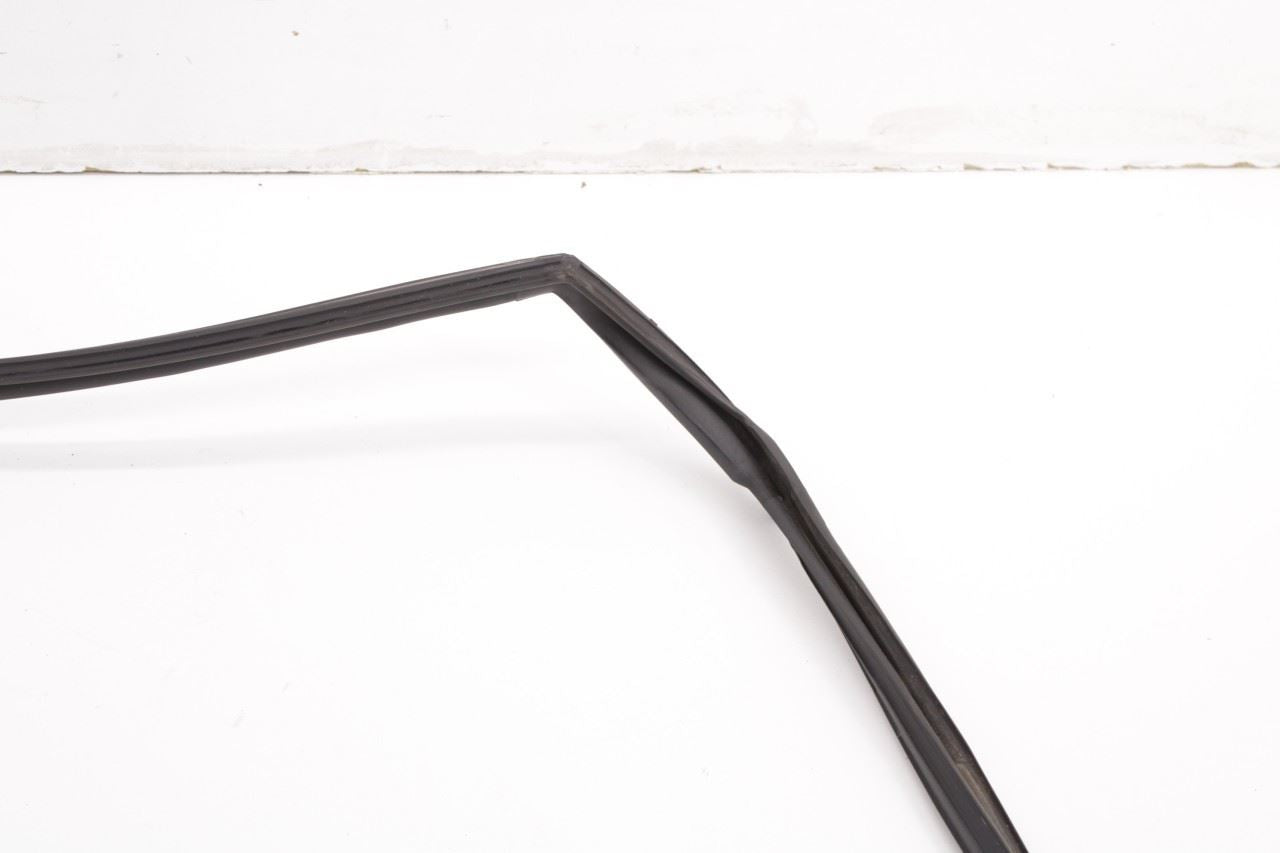 2013-2019 Nissan Sentra SL Rear Left Door Run Channel with Belt Outer Molding - Alshned Auto Parts