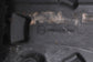 2019-2025 Infiniti QX50 LUXE 2.0L FWD Fuel Gas Tank 16.0 US Gallons 17202-5NA0A - Alshned Auto Parts