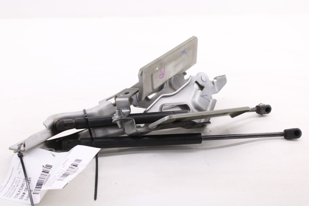 18-24 Ford Expedition Limited Front Right and Left Hood Hinge Set w/ Lift Struts - Alshned Auto Parts