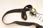 18-22 Ford EcoSport SE FWD Rear Passenger Right Side 2nd Row Seat Belt Retractor - Alshned Auto Parts