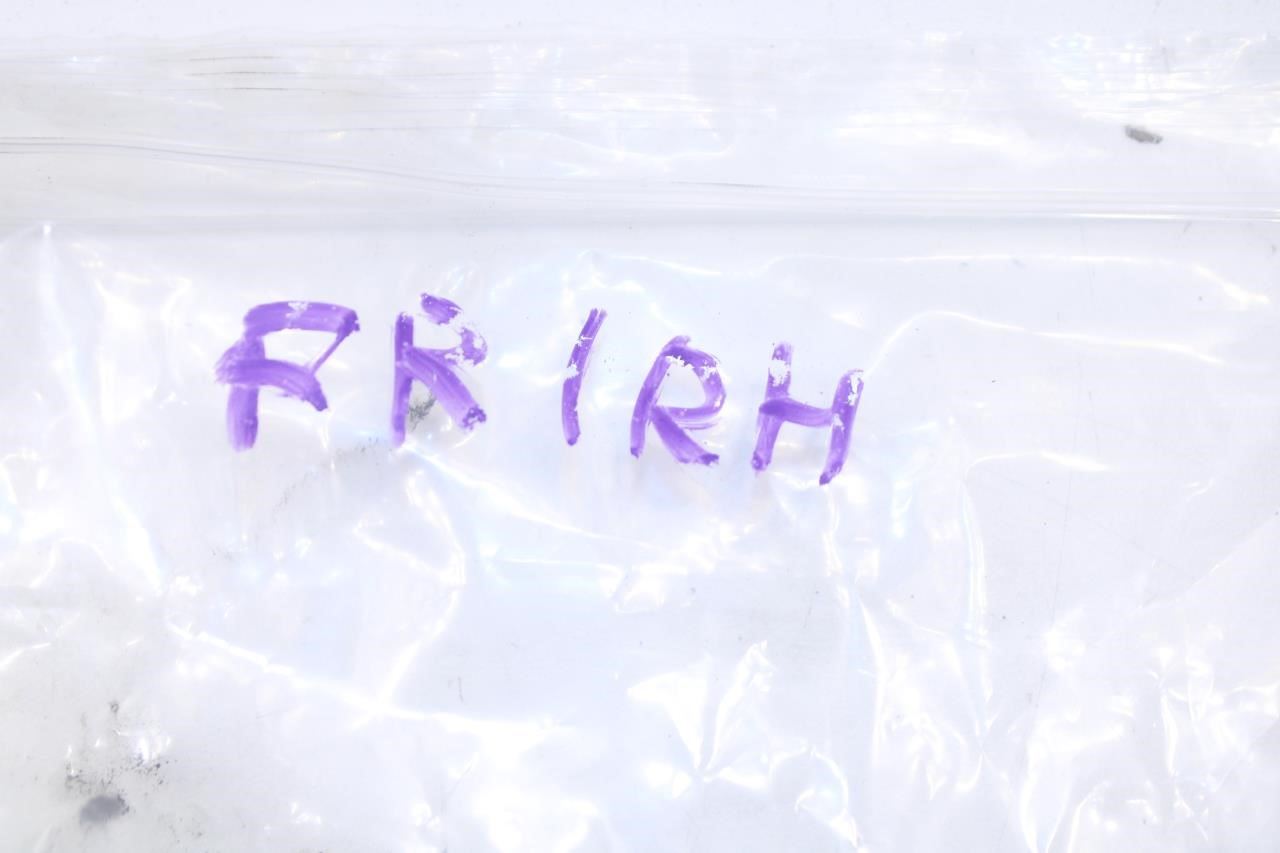 11-21 Jeep Grand Cherokee Front RH Door Hinge Upper and Lower Set 55113660AC OEM - Alshned Auto Parts