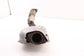 2021-2025 Infiniti QX50 LUXE 2.0L FWD Front Exhaust System Pipe 200A0-9CM0A OEM - Alshned Auto Parts