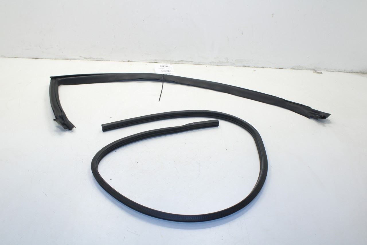 2008-2023 Dodge Challenger Front Right Door Run Channel w/ Weatherstrip On Body - Alshned Auto Parts