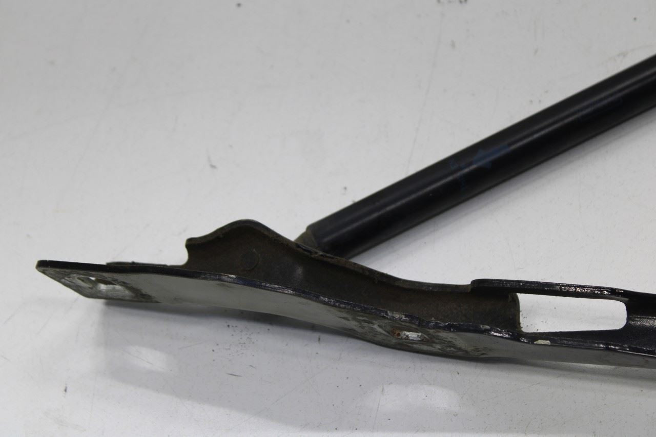 2015-20 Ford F150 Super Cab Lariat Front RH and LH Hood Hinge Set w/ Lift Struts - Alshned Auto Parts