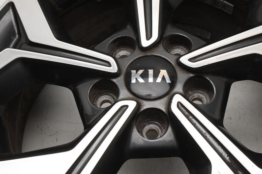 2019-2021 Kia Forte LXS Aluminum Wheel R16x6.5J 5 Y Spoke 52910-M7300 OEM - Alshned Auto Parts