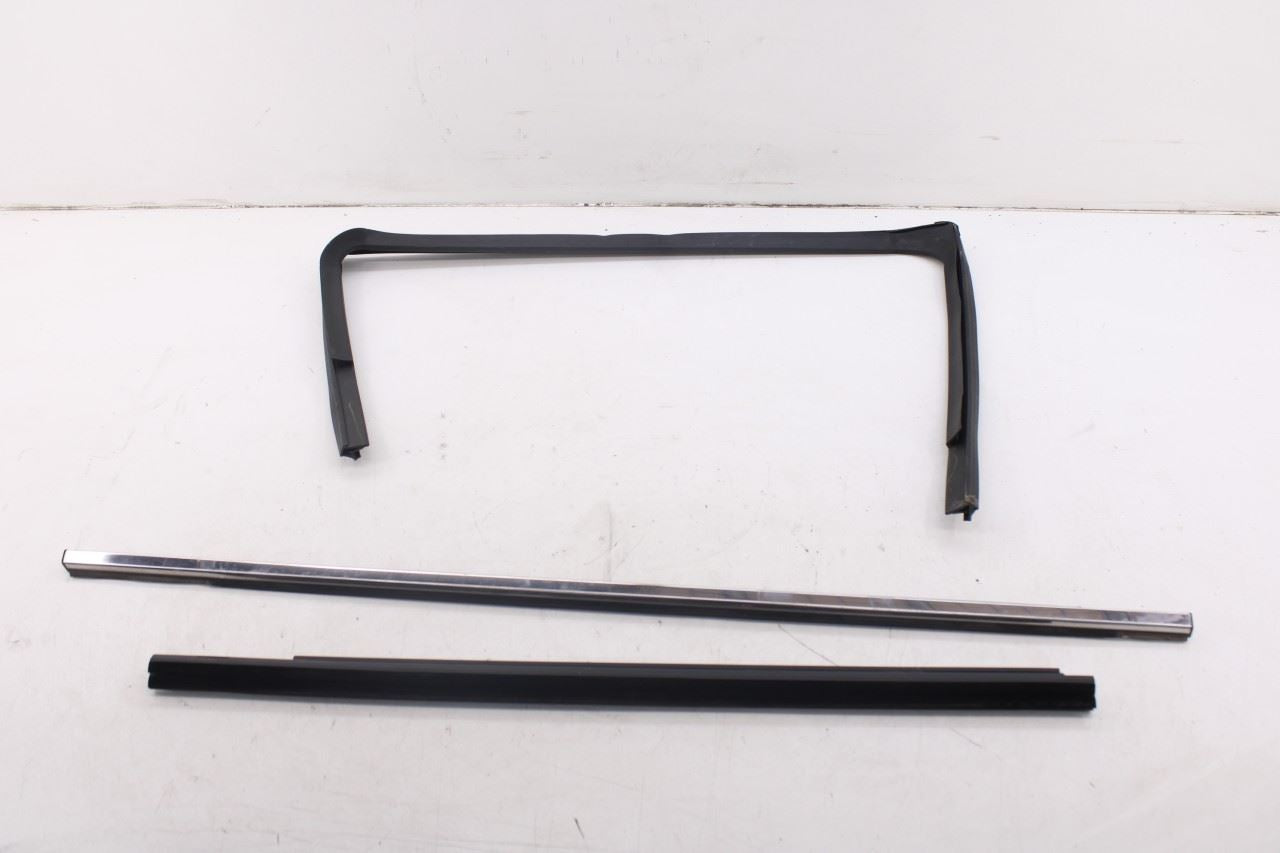 2010-20 Dodge Grand Caravan SXT Rear Left Door Window Run Channel Trim Belt Set5