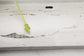 2010-2016 Mercedes-Benz E350 Sport 4MATIC Right Side Rocker Panel Molding *ReaD* - Alshned Auto Parts