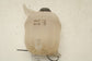 23-25 Kia Sportage Hybrid EX 1.6L Radiator Coolant Reservoir Bottle 25430-CZ000 - Alshned Auto Parts