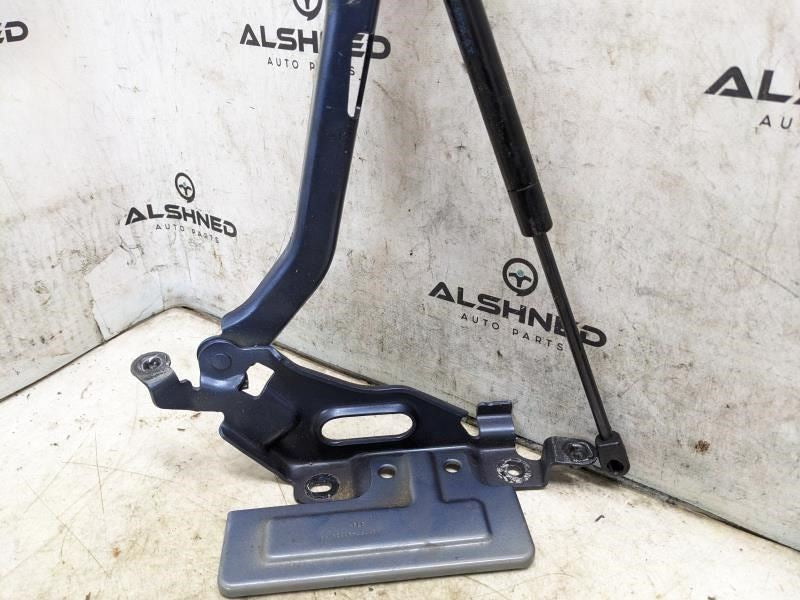 18-23 Ford Expedition Hood Hinges w Lift Cylinder Shocks JL1Z-16796-A OEM *ReaD* - Alshned Auto Parts