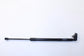 2019-20 Nissan Pathfinder SV Rear Left and Right Liftgate Lift Support Cylinder - Alshned Auto Parts