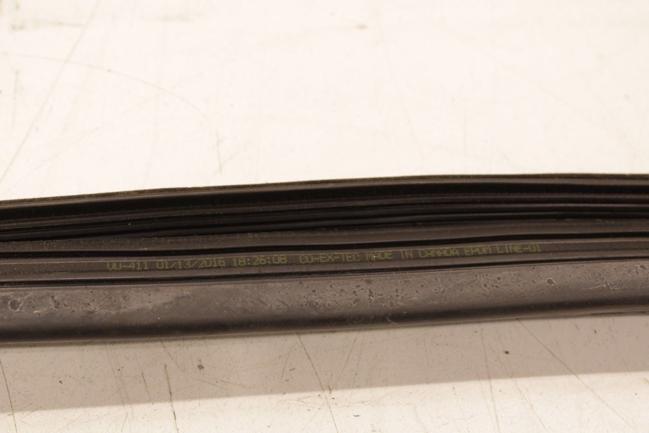 2012-2019 Volkswagen Passat SE Rear Right Door Run Channel w/ Belt Weatherstrips - Alshned Auto Parts
