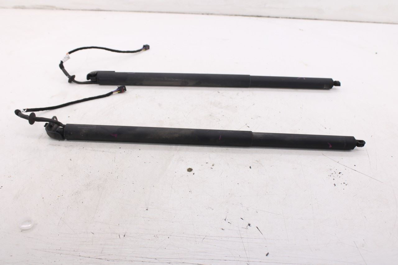 2019-25 Infiniti QX50 ESSENTIAL Rear Right and Left Liftgate Lift Cylinder Strut - Alshned Auto Parts