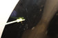 2018-2023 Infiniti Q50 Luxe RWD Hood Shell Panel F510M-4GAAA OEM - Alshned Auto Parts