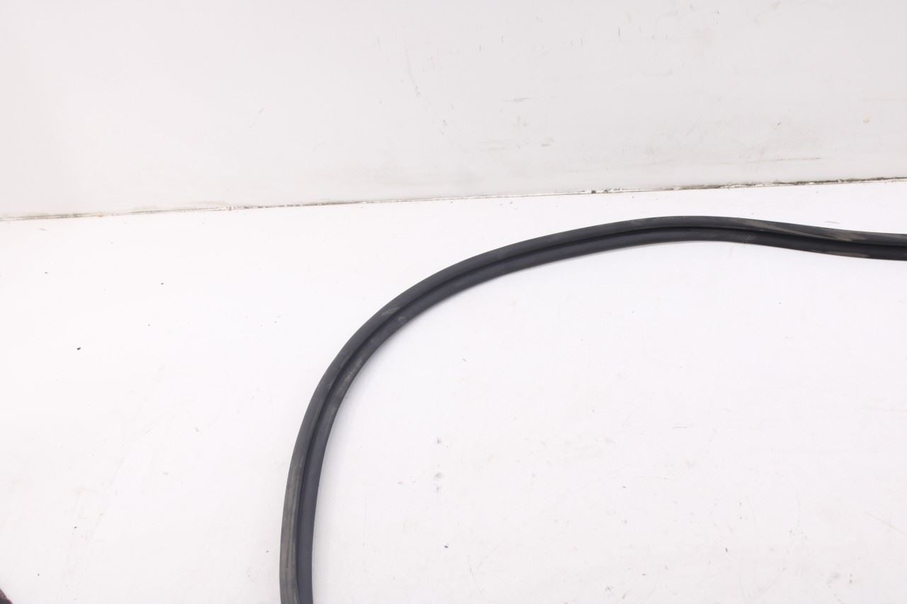 2020-2026 Hyundai Palisade Limited AWD Liftgate Tailgate Back Door Weatherstrip4