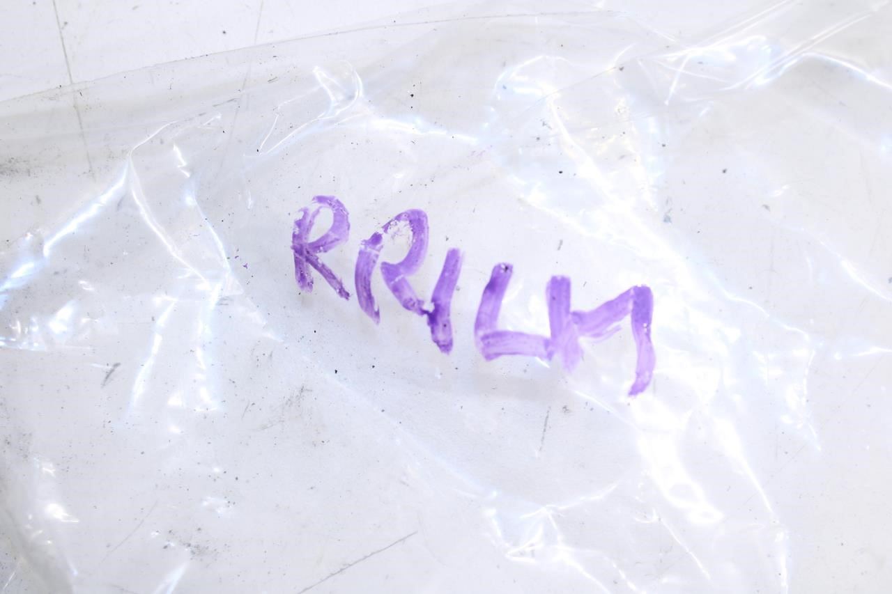 11-21 Jeep Grand Cherokee Rear LH Door Hinge Upper and Lower Set 55113661AC OEM - Alshned Auto Parts