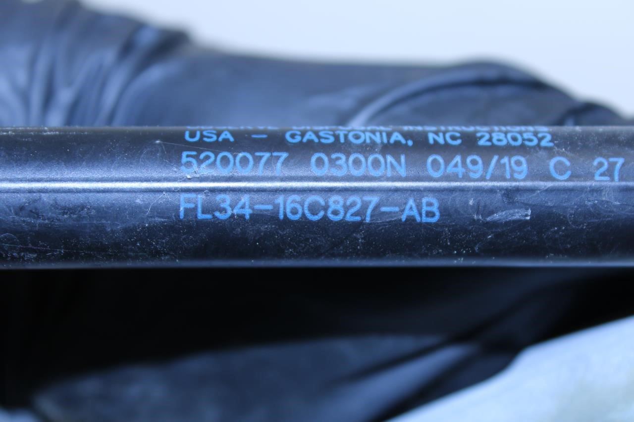 2015-2020 Ford F150 XL Front RH and LH Hood Hinge w/ Lift Strut FL34-16801-A OEM - Alshned Auto Parts