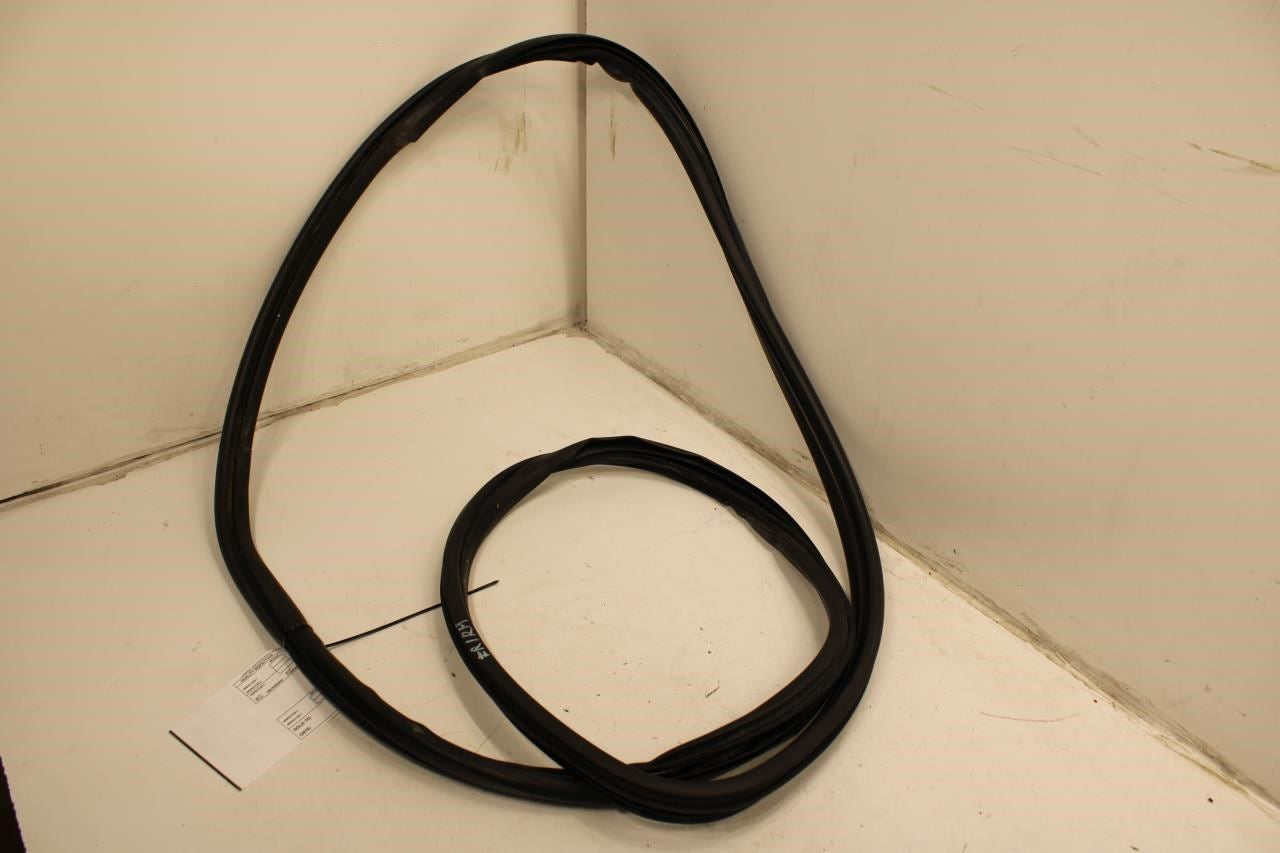 2015-2022 Ram ProMaster City Front Right Passenger Door Weatherstrip 68338438AA - Alshned Auto Parts