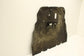 2021-2023 Ford Bronco Sport Under Body Engine Splash Shield LX6B-6B629-LB OEM7