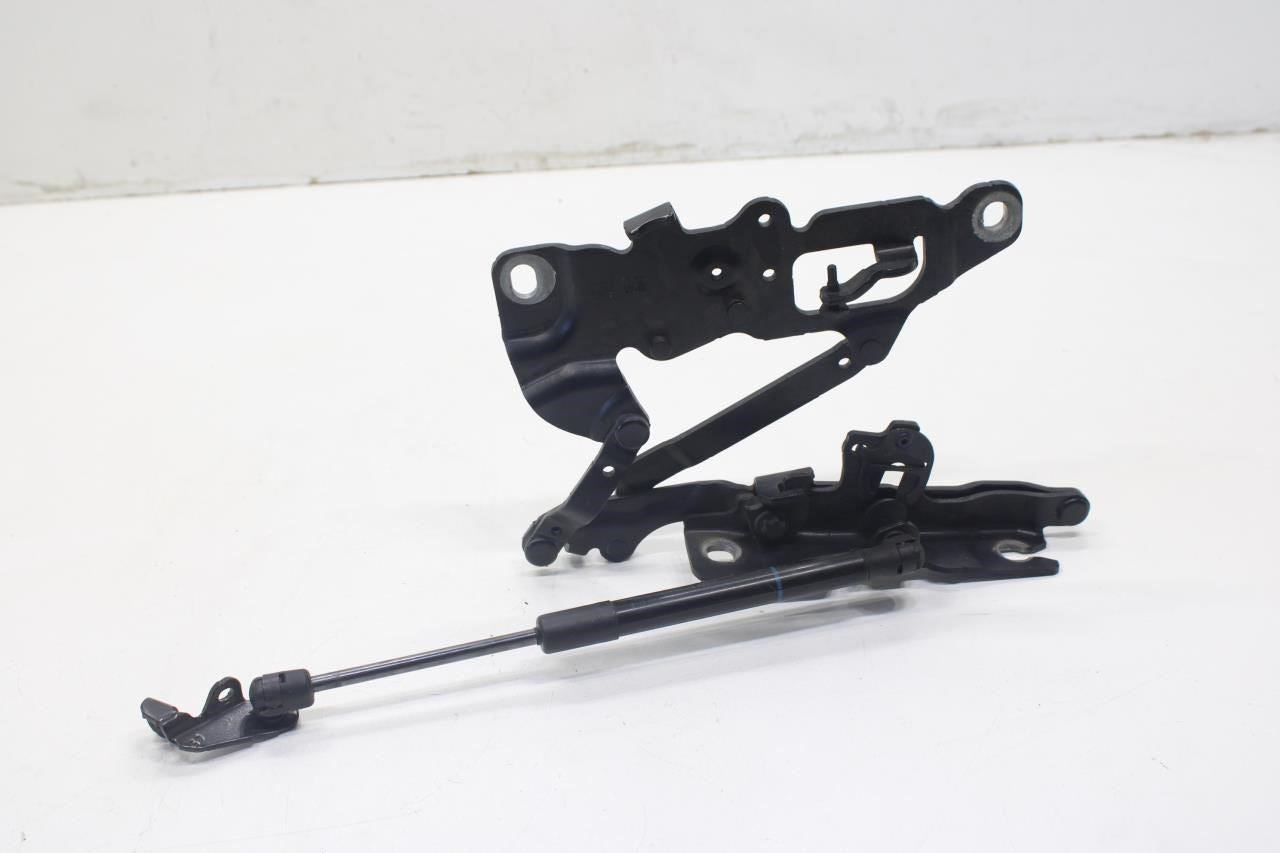 2010-2015 BMW 750i xDrive Front Left and Right Hood Bonnet Hinge 41617291701 OEM - Alshned Auto Parts