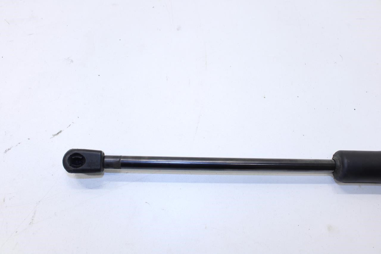 2019-20 Nissan Pathfinder SV Rear Left and Right Liftgate Lift Support Cylinder - Alshned Auto Parts