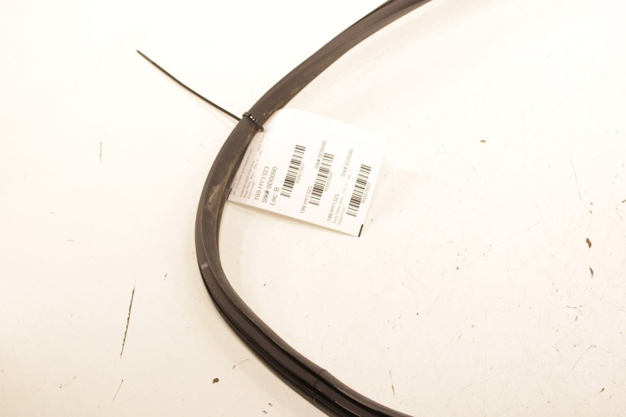 22-25 Hyundai Tucson SEL Rear Left Driver Door Weatherstrip On Body 83110-CW000 - Alshned Auto Parts