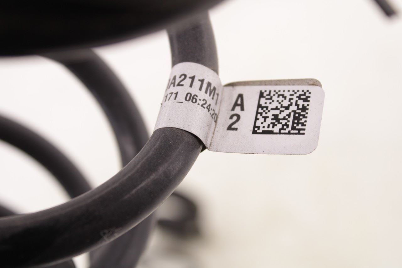 2022-2026 Honda Civic Sport Rear Right and Left Side Suspension Coil Spring Set - Alshned Auto Parts