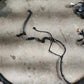 2015 Ford F250SD 6.2L Engine Bay Wire Harness FC3T-14A581-AD OEM *ReaD**AS IS* - Alshned Auto Parts