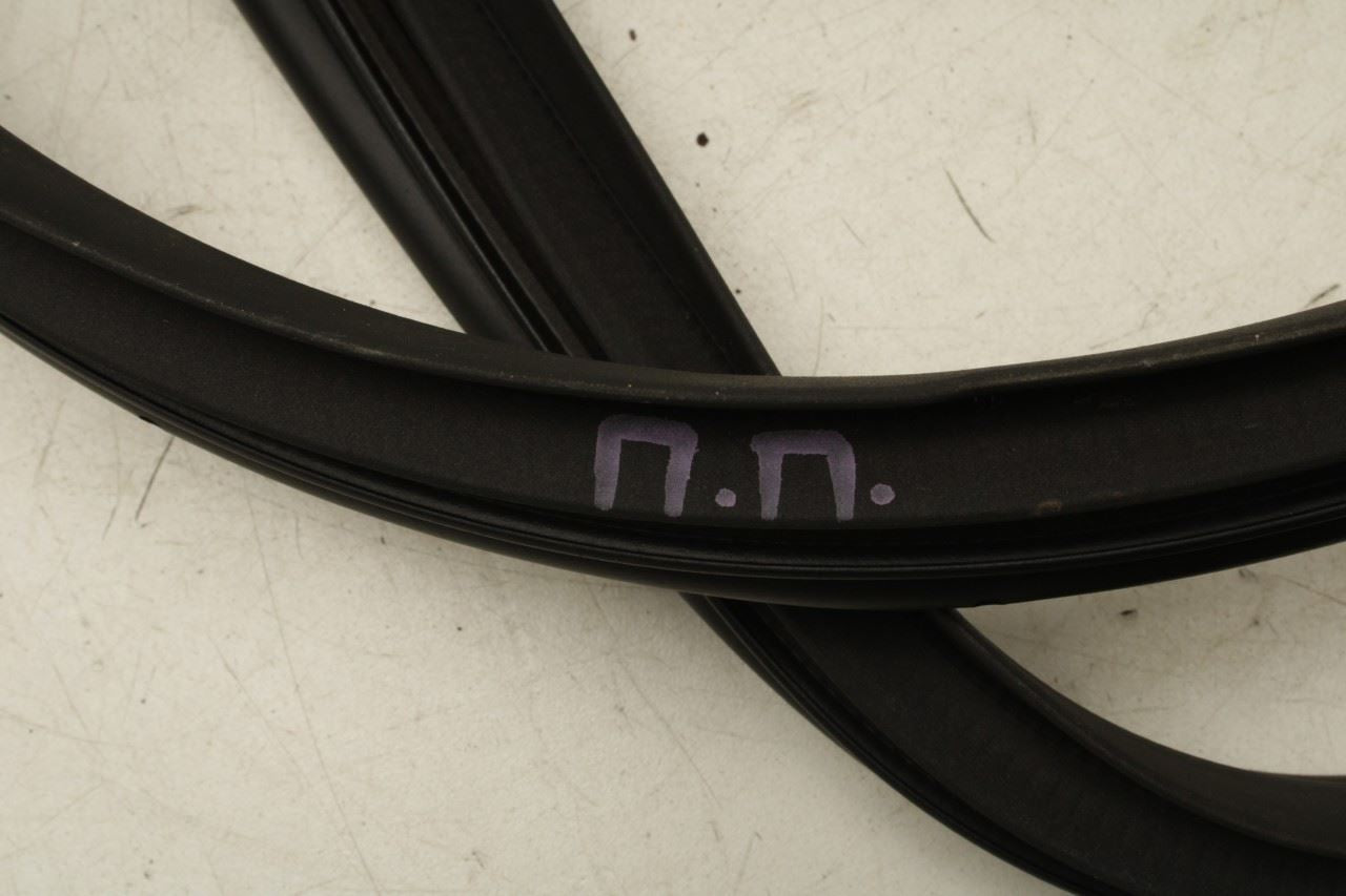 2023-25 Kia Sportage Hybrid EX Front Right Door Weatherstrip On Body 82120-P1000 - Alshned Auto Parts