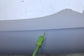 2022-2025 Hyundai Tucson SEL Front Right and Left Windshield A Pillar Cover Trim - Alshned Auto Parts