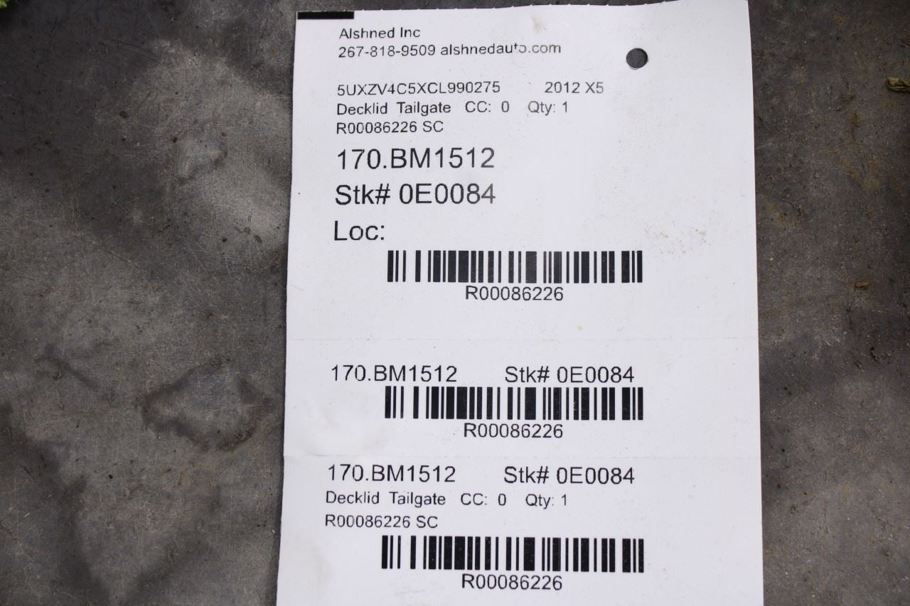2007-13 BMW X5 Xdrive35i Liftgate Trunk Lower Bottom Shell Panel 41627161677 OEM - Alshned Auto Parts
